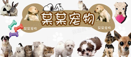 imtoken的币怎么买
