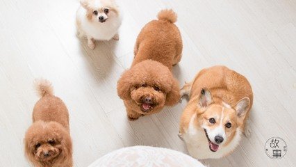 usdt钱包图片生成器