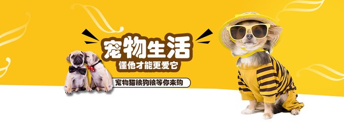 imToken安卓下载安装