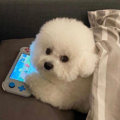 泰达币钱包app下载