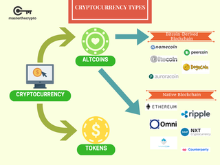tokenpocket是什么意思英语