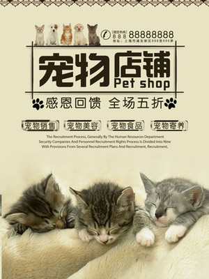 虚拟币app钱包