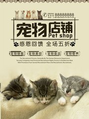 虚拟钱包app